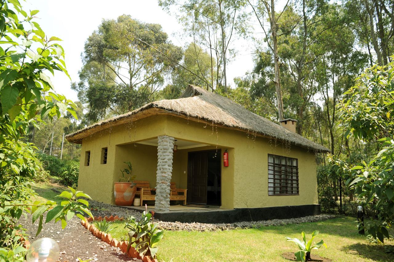 Davinci Gorilla Lodge Kinigi 外观 照片