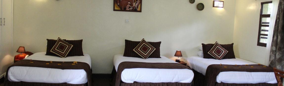 Davinci Gorilla Lodge Kinigi 外观 照片